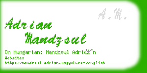 adrian mandzsul business card